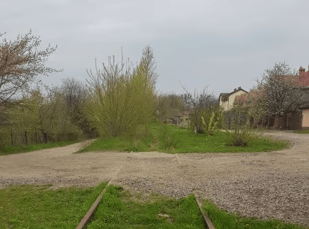 tour lysynychi forest - lviv holocaust tour and research